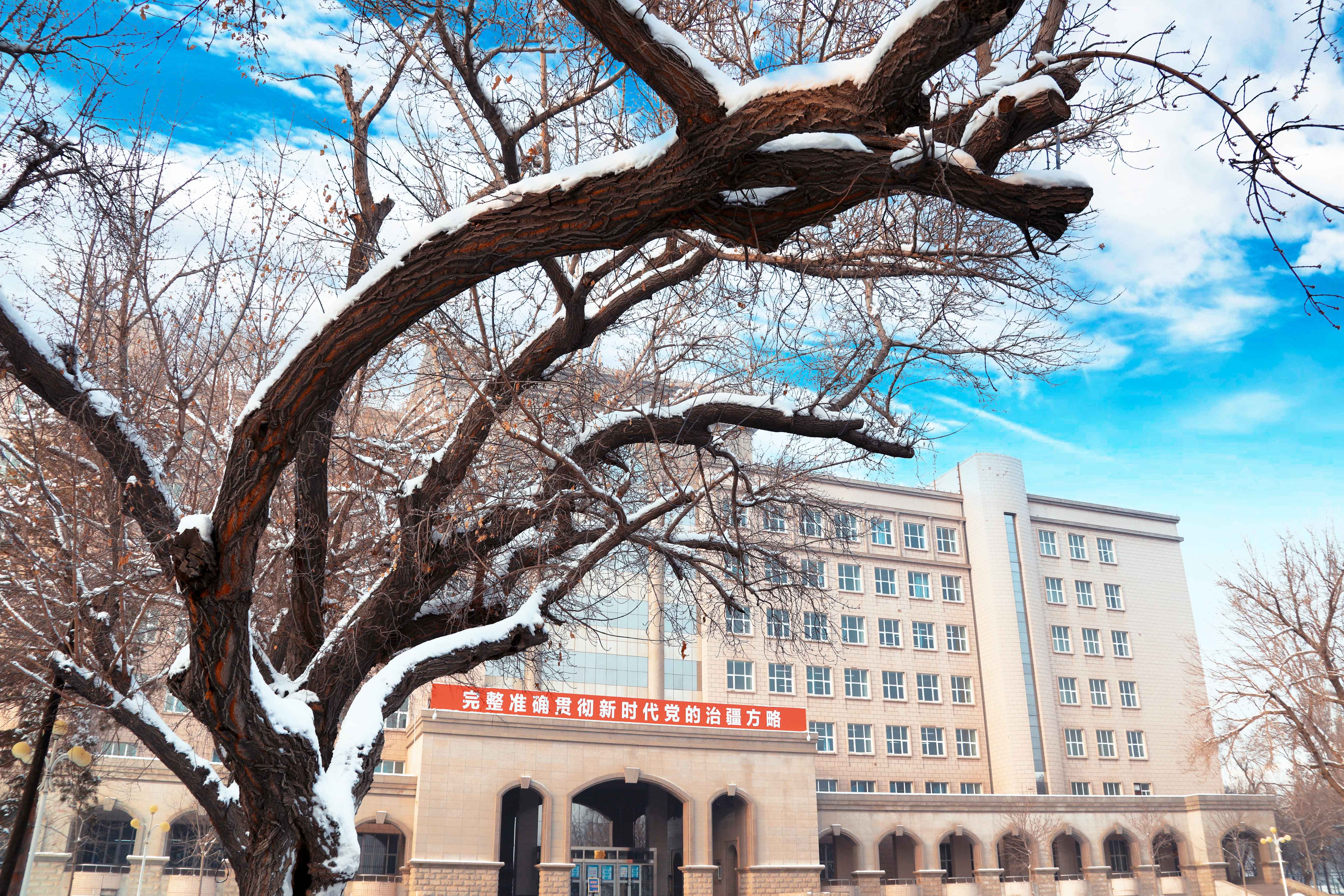 学习强国丨新疆师范大学pk新疆农业大学:冬日里,一场